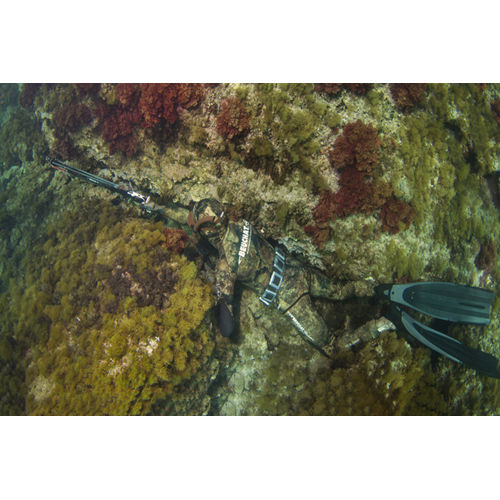 Spearfishing Trip - Great Barrier